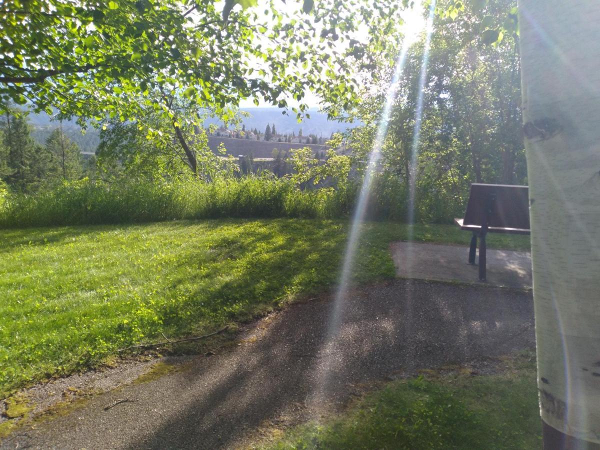 Appletree Inn Radium Hot Springs Luaran gambar