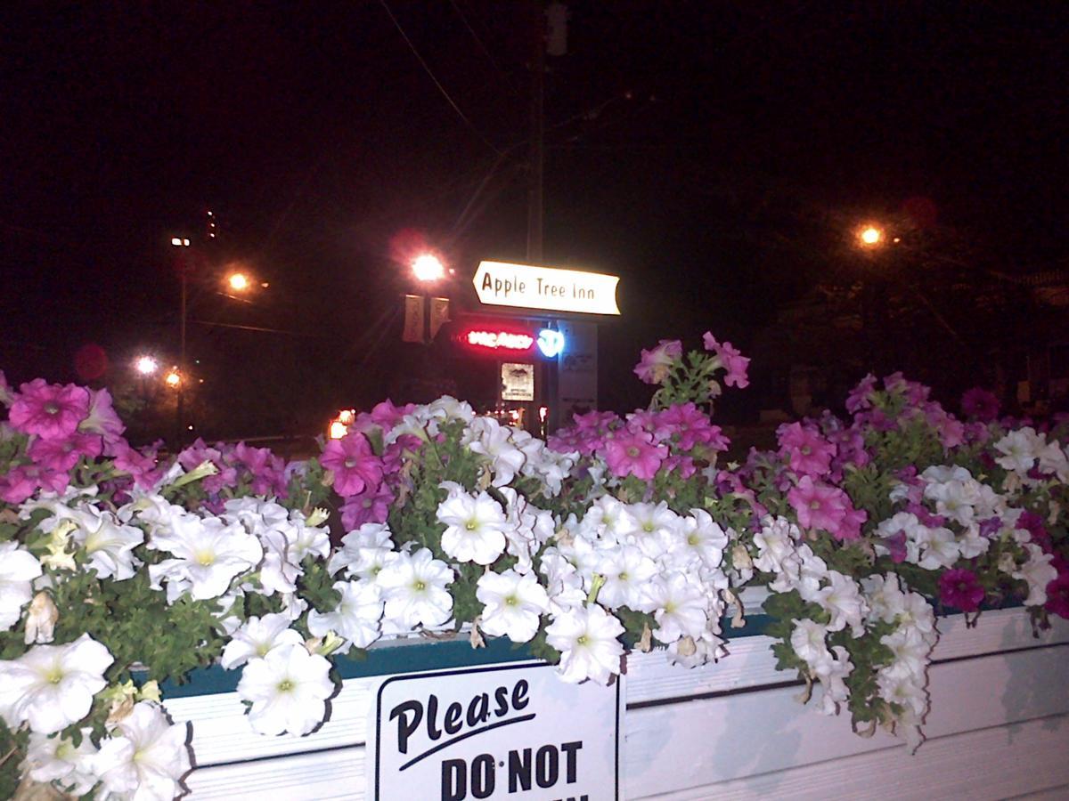 Appletree Inn Radium Hot Springs Luaran gambar